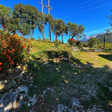 Georgaras Accommodation Platanoussa エクステリア 写真
