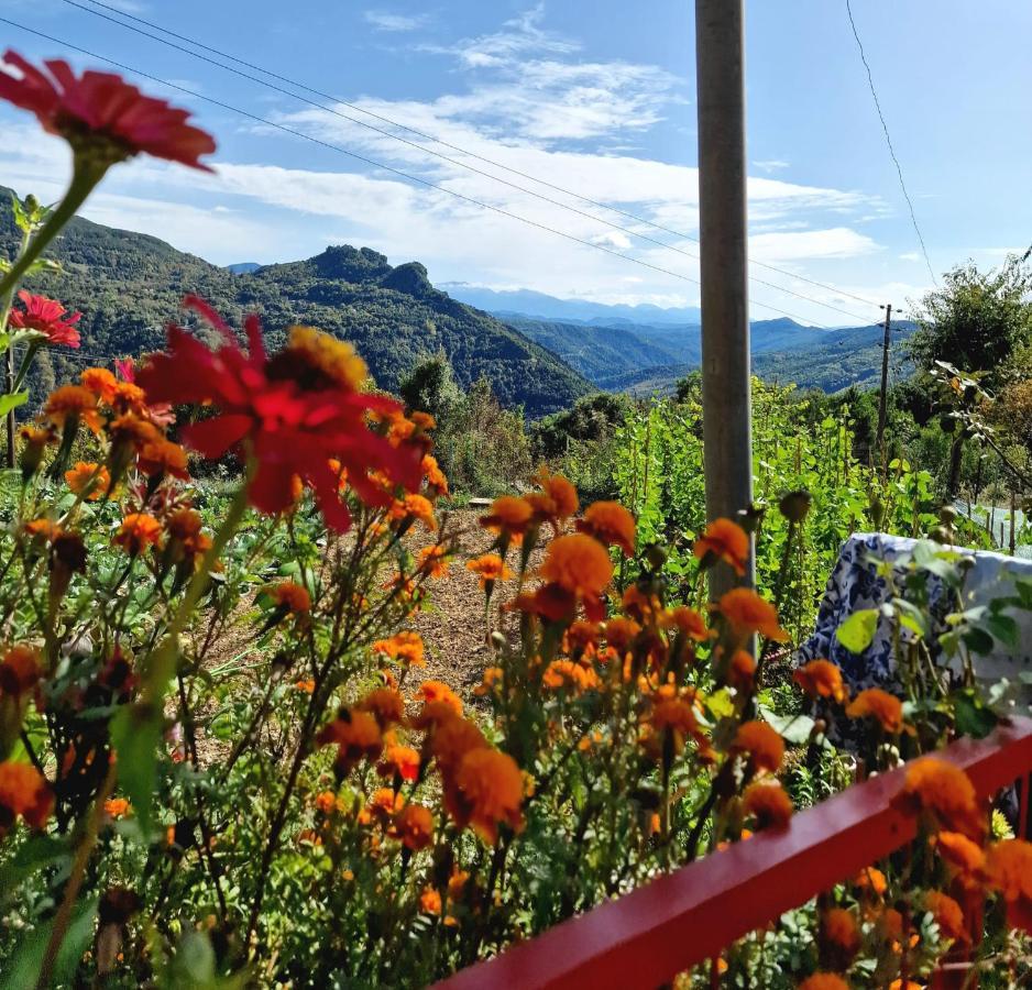 Georgaras Accommodation Platanoussa エクステリア 写真