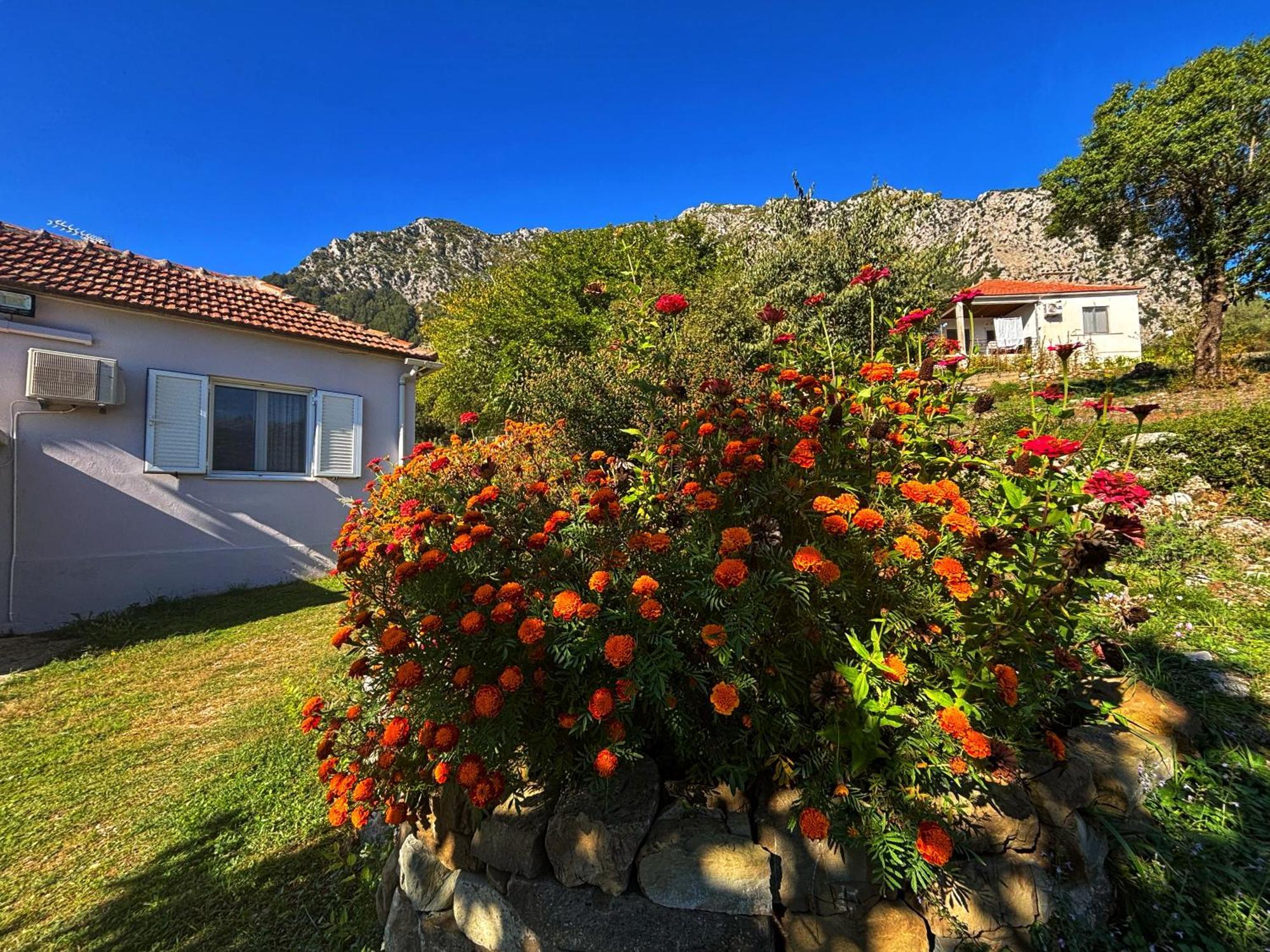 Georgaras Accommodation Platanoussa エクステリア 写真