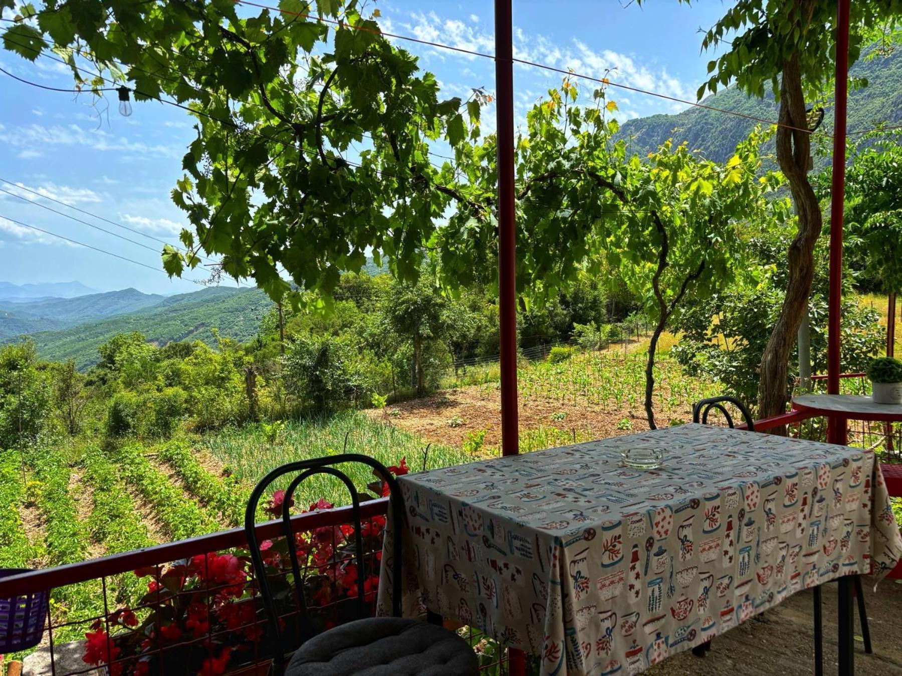 Georgaras Accommodation Platanoussa エクステリア 写真